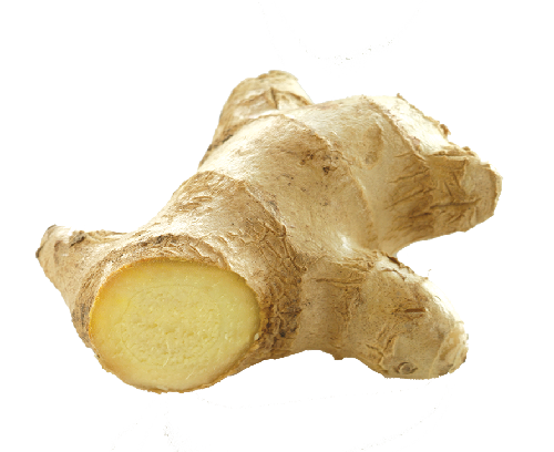 Ginger Transparent PNG