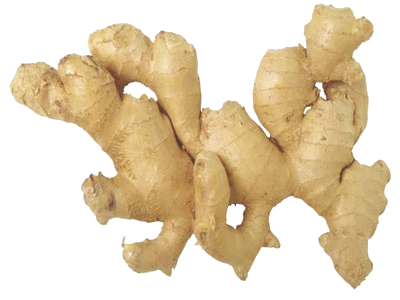 Ginger Transparent PNG