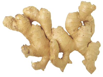 Ginger Transparent PNG