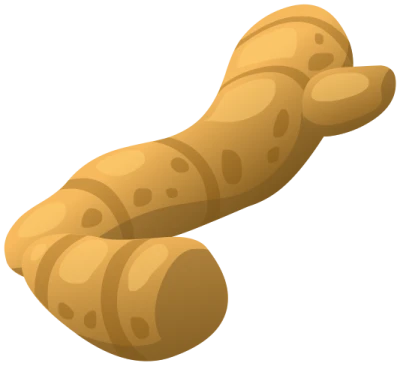 Ginger Transparent PNG