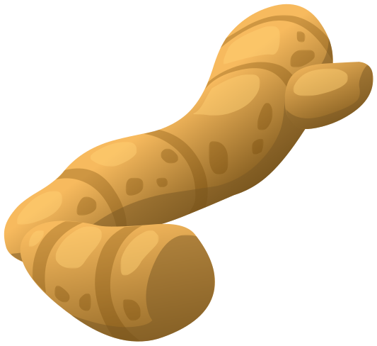 Ginger Transparent PNG