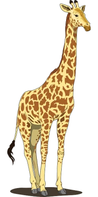 Giraffe Transparent PNG