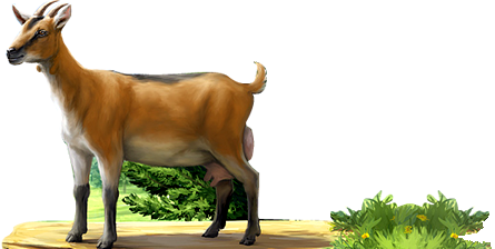 Goat Transparent PNG
