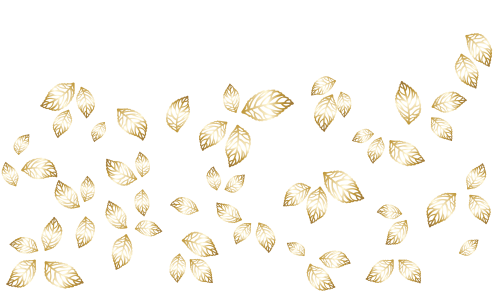 Golden Border Transparent PNG