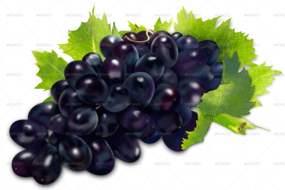 Grapes Transparent PNG
