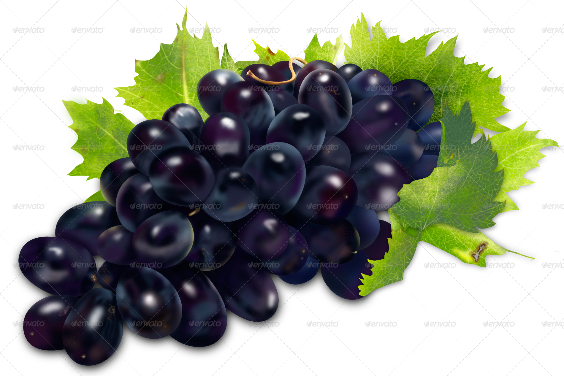 Grapes Transparent PNG