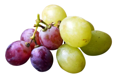 Grapes Transparent PNG