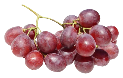 Grapes Transparent PNG