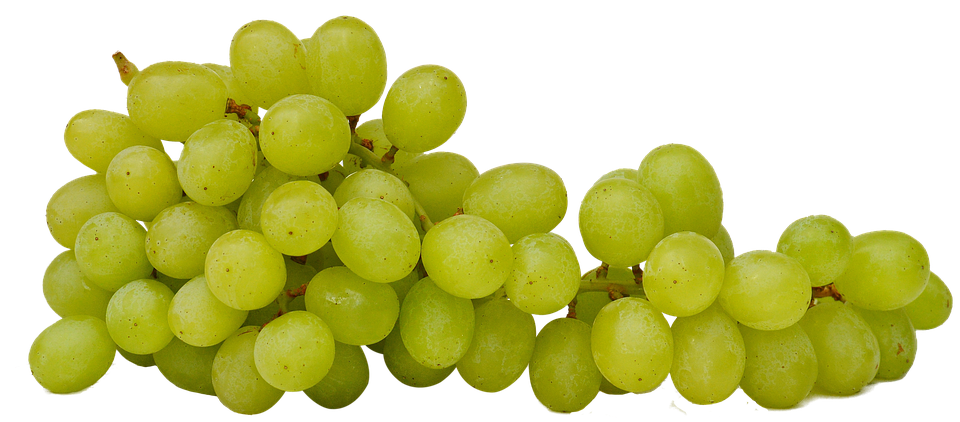 Grapes Transparent PNG