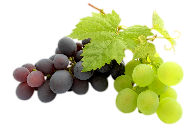 Grapes Transparent PNG