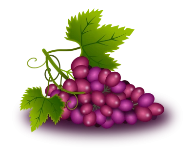 Grapes Transparent PNG