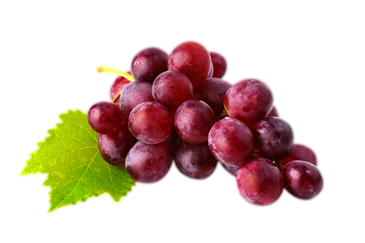 Grapes Transparent PNG