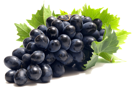 Fresh Grapes PNG