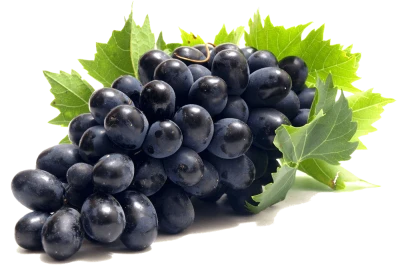 Fresh Grapes PNG
