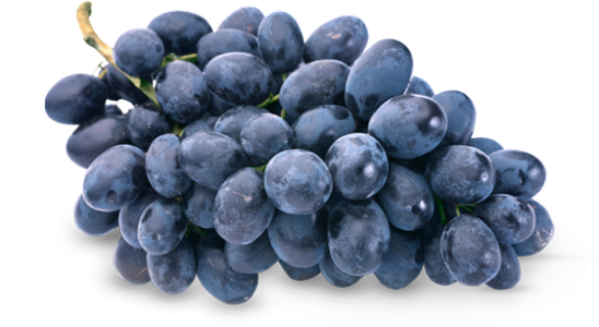 Fresh Grapes PNG