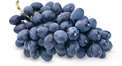 Fresh Grapes PNG