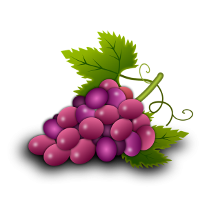 Fresh Grapes PNG