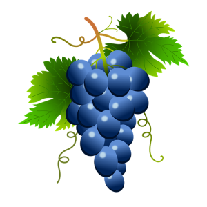 Fresh Grapes PNG