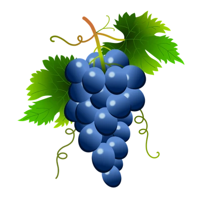 Fresh Grapes PNG