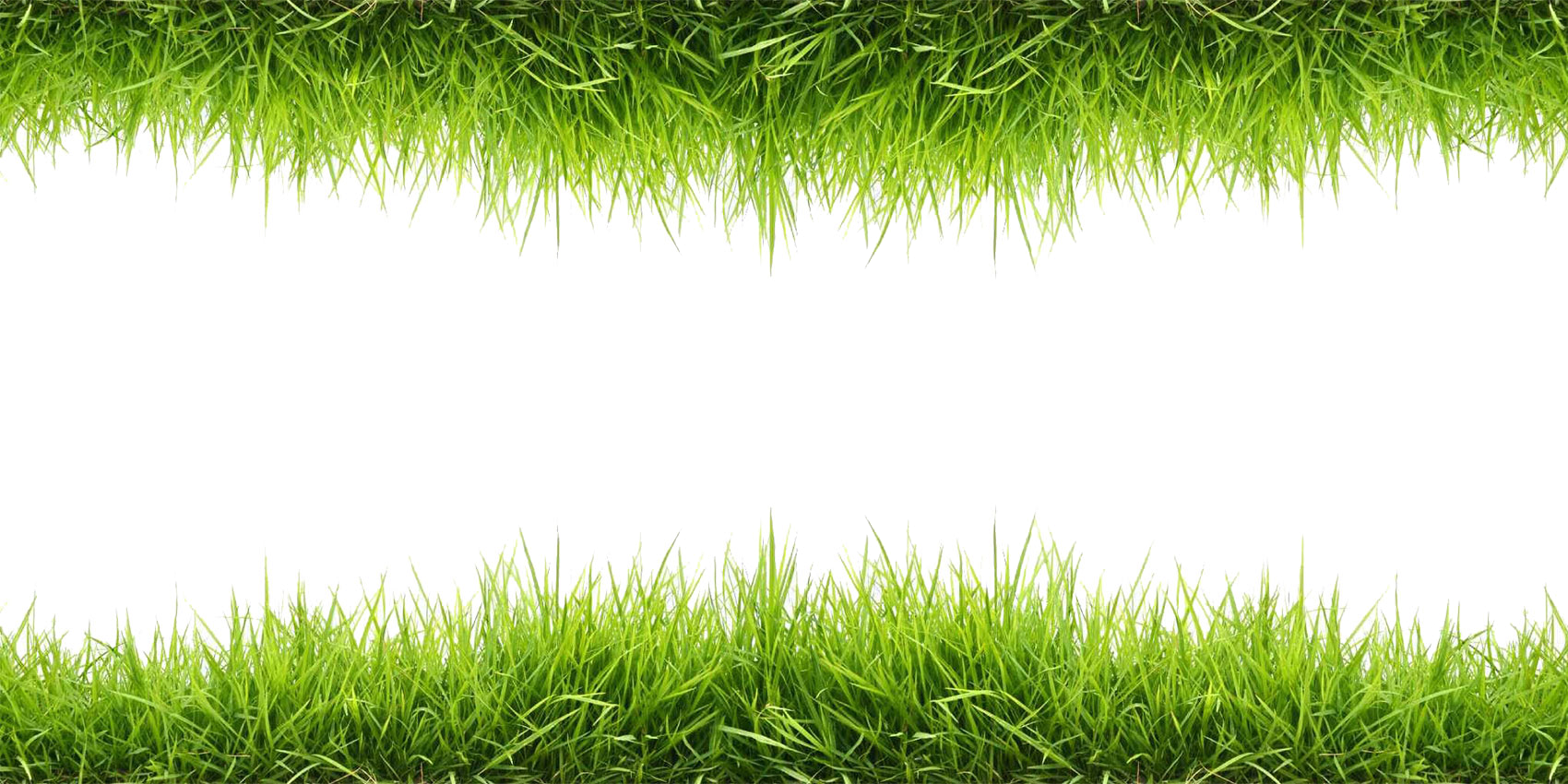 Grass Transparent PNG