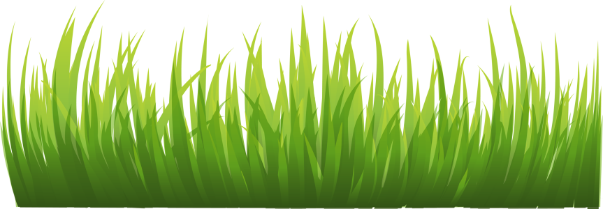 Green Grass PNG