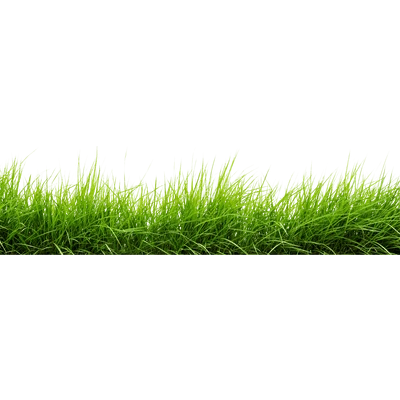Green Grass PNG