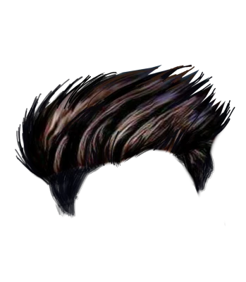 Hair PNG Transparent Image