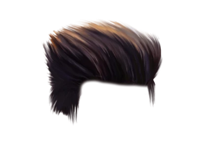 Realistic Hair PNG Download