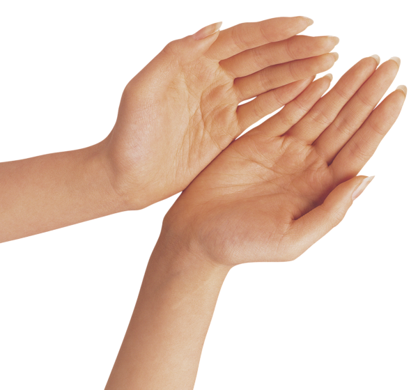 Hand PNG Transparent Image