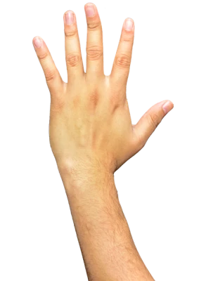 Hand PNG Transparent Image