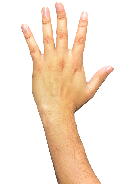 Hand PNG Transparent Image