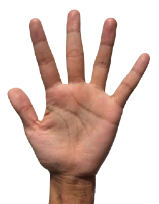 Hand PNG Transparent Image