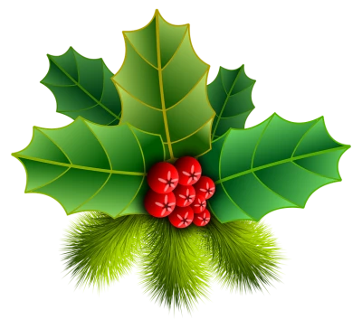 Holly PNG Transparent Image
