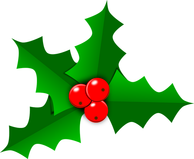 Holly PNG Transparent Image
