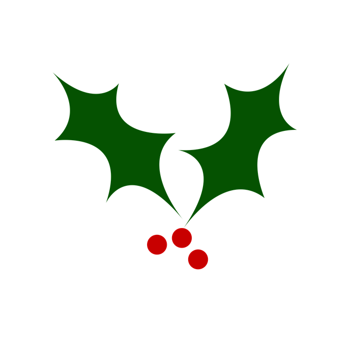 Holly PNG Transparent Image
