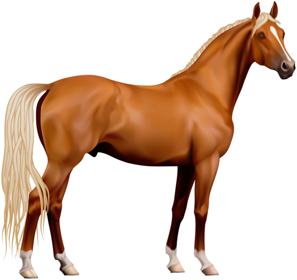 Realistic Horse PNG Download