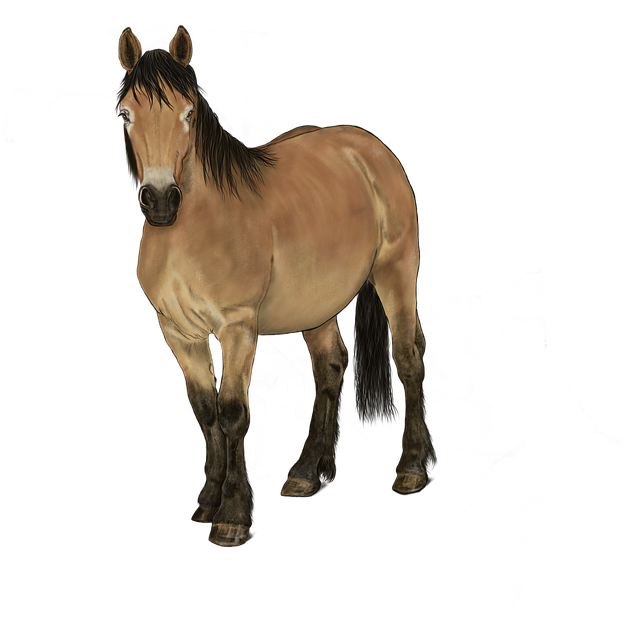 Realistic Horse PNG Download