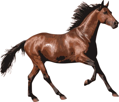Realistic Horse PNG Download