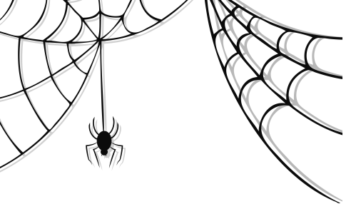 SPIDER WEB PNG 1