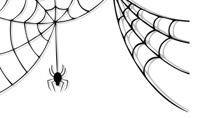 SPIDER WEB PNG