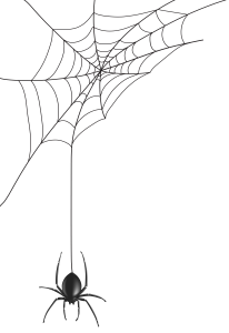 SPIDER WEB PNG 3