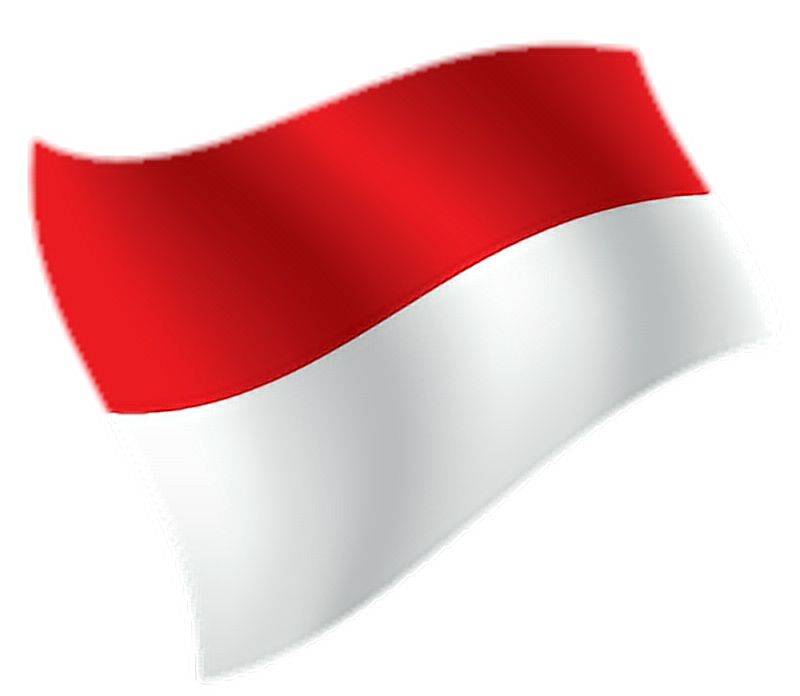Indonesia Flag PNG
