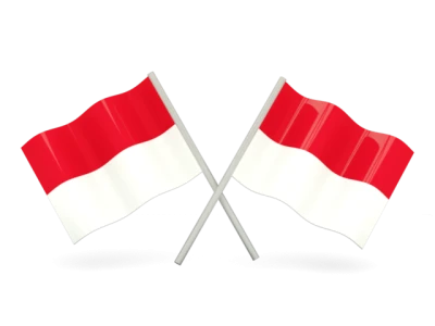 Indonesia Flag PNG