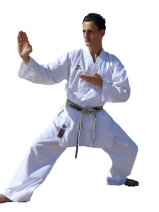 Karate PNG, Transparent Martial Arts Image