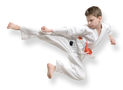 Karate PNG, Transparent Martial Arts Image
