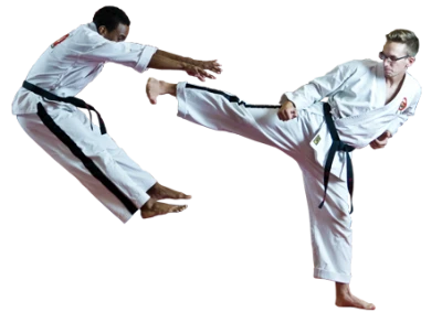 Karate PNG, Transparent Martial Arts Image