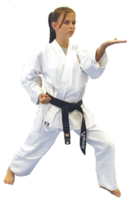 Karate PNG, Transparent Martial Arts Image