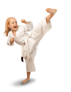 Karate PNG, Transparent Martial Arts Image