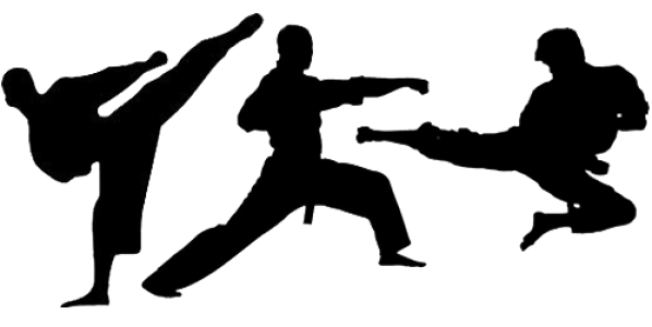 Karate PNG, Transparent Martial Arts Image