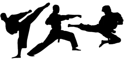 Karate PNG, Transparent Martial Arts Image